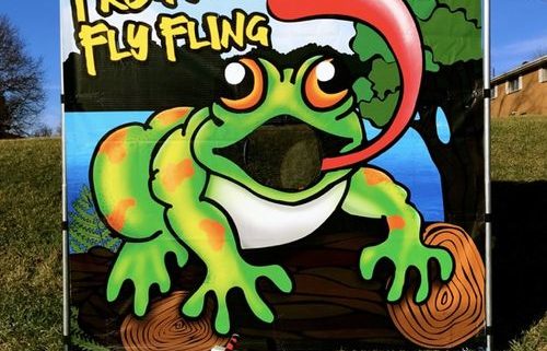 Froggy Fly Fling